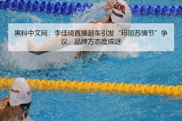 hei-liao-zhong-wen-wang-li-jia-qi-zhi-bo-fan-che-yin-fa-ma-li-su-qing-jie-zheng-yi-pin-pai-fang-tai-du-cheng-mi-2-211.jpg
